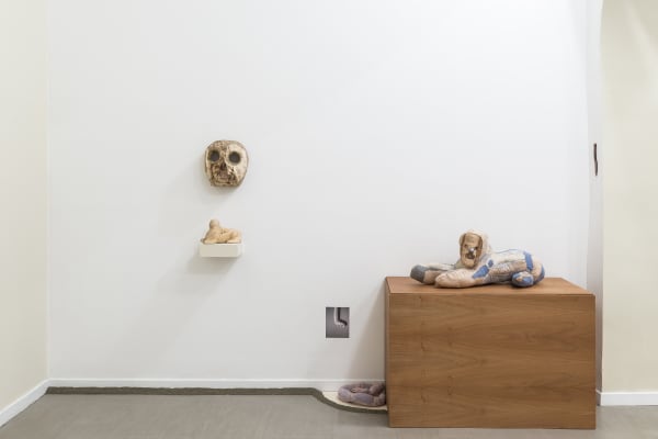 Evgeny Antufiev, Fusion and Absorption, installation view at z2o Sara Zanin Gallery