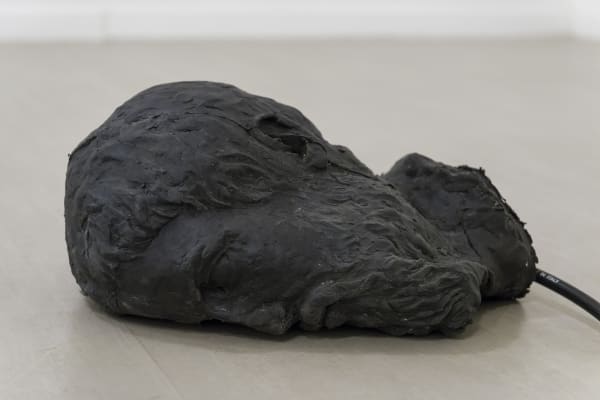 EntreNous, Pier Paolo Calzolari & Marco Maria Giuseppe Scifo, installation view at z2o Sara Zanin Gallery