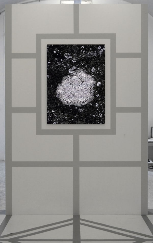 Michele Guido, z2o Garden Project, installation view at z2o Sara Zanin Gallery