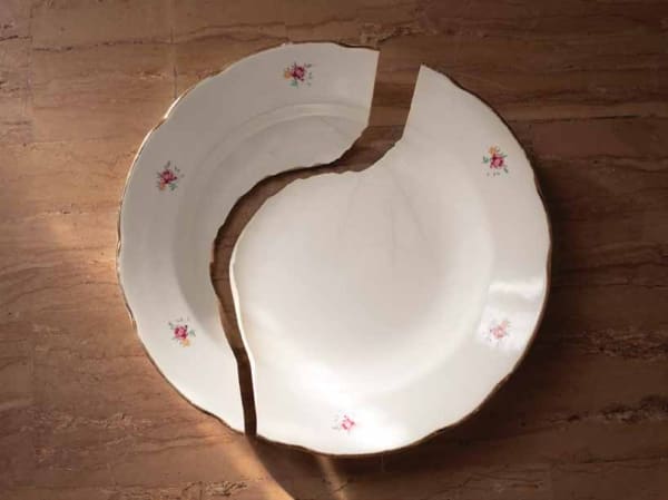 Silvia Camporesi, Domestica ,2020