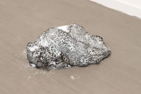 Krištof Kintera, Disappearing, 2013