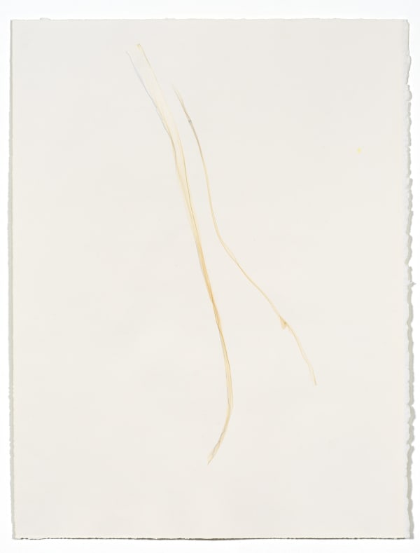 Beatrice Pediconi Untitled small #9, 2019 emulsion lift on watercolor paper cm 66 x 50, cm 75 x 60 with frame and glass