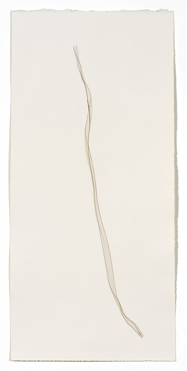 Beatrice Pediconi Untitled small #12, 2020 emulsion lift on watercolor paper cm 66 x 30, cm 73 x 38 with frame and glass