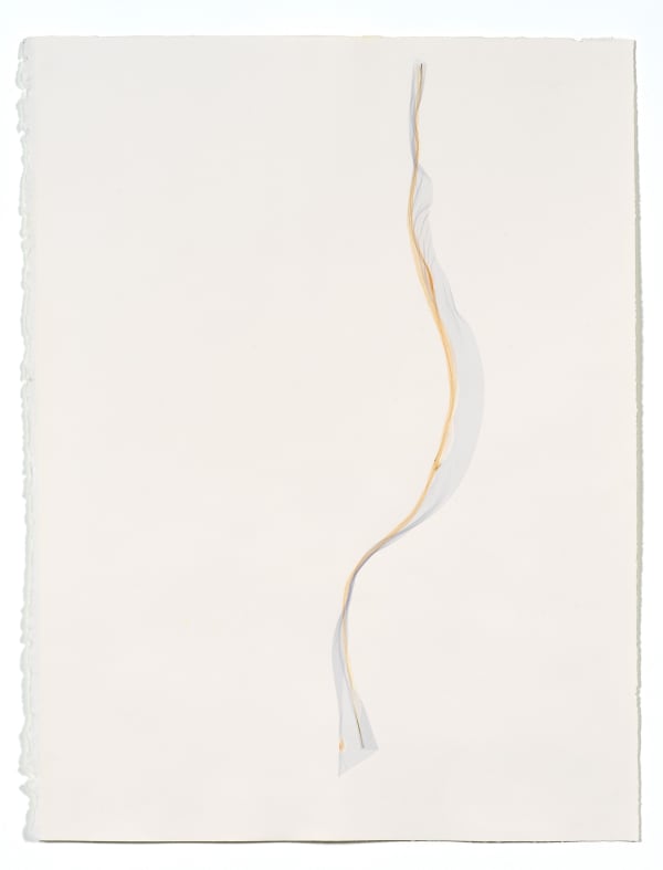 Beatrice Pediconi Untitled small #11, 2019 emulsion lift on watercolor paper cm 66 x 50, cm 75 x 60 with frame and glass