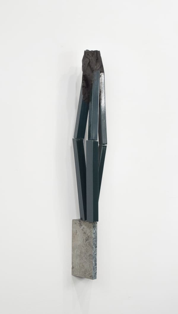 Fabrizio Prevedello Fiore (85, 3°), 2012/16