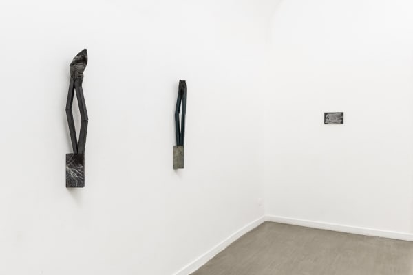 Verticale terra Fabrizio Prevedello / Michele Tocca Curated by Davide Ferri Installation view of the second room Ph. Sebastiano Luciano