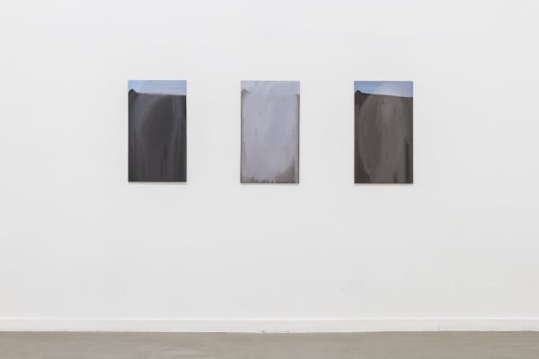 Verticale terra Fabrizio Prevedello / Michele Tocca Curated by Davide Ferri Installation view of the third room Ph. Sebastiano Luciano