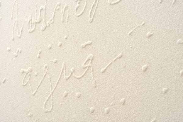 Details Pier Paolo Calzolari Titolo: Scritture Iscrizione: Mormorio dell'agua, 2019