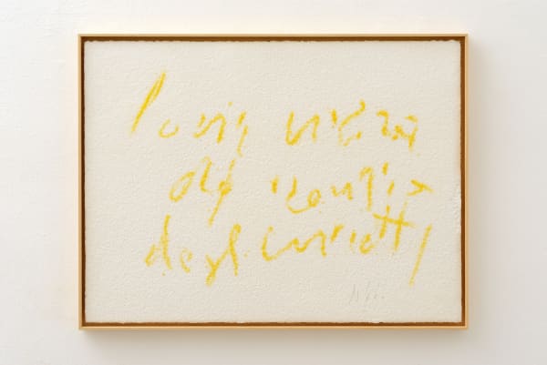 Pier Paolo Calzolari Titolo: Scritture Iscrizione: L'aria vibra del ronzio degli insetti, 2019