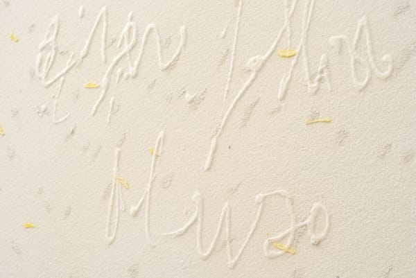 Details Pier Paolo Calzolari Titolo: Scritture Iscrizione: Avere pallido il viso, 2019