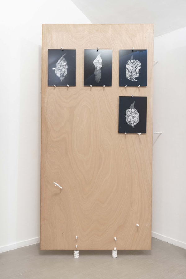 Michele Guido taphrina deformans _2015/2021 photographic paper b/w ilford printed with durst lambda 130, glass, steel, plaster cm 37,5 x 50 (each) ph. Masiar Pasquali