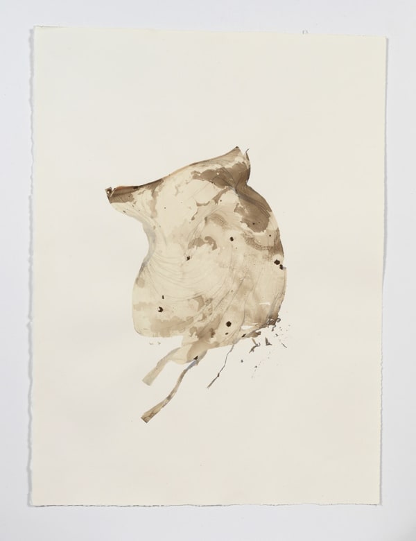 Beatrice Pediconi Anamnesis #1, 2019 Mixed media on watercolor paper Cm 66 x 50, cm 75 x 59 x 4 framed