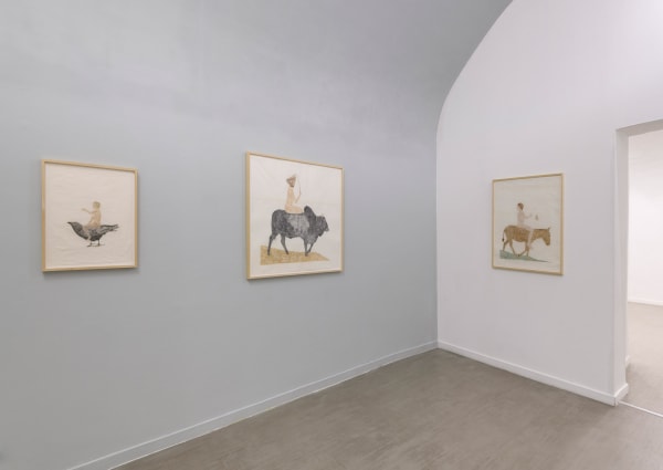 Marta Roberti, In metamorfosi, curated by Cecilia Canziani Installation view, ph. Giorgio Benni