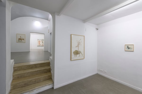Marta Roberti, In metamorfosi, curated by Cecilia Canziani Installation view, ph. Giorgio Benni