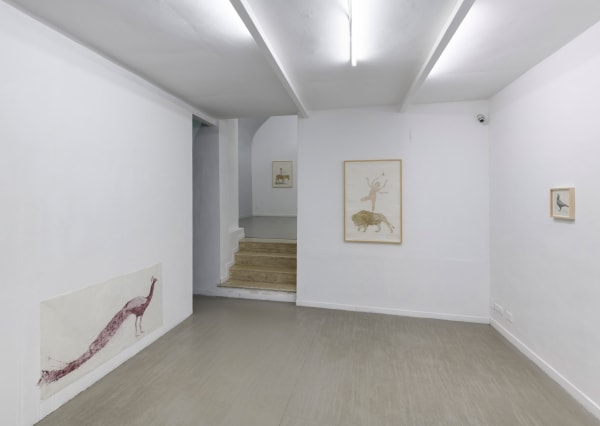 Marta Roberti, In metamorfosi, curated by Cecilia Canziani Installation view, ph. Giorgio Benni