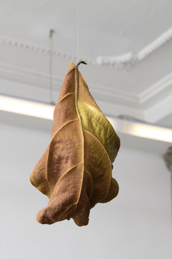 Giovanni Kronenberg Senza Titolo, 2022 dry leaf with golden leaf cm 25 x 13 ph. Giorgio Benni