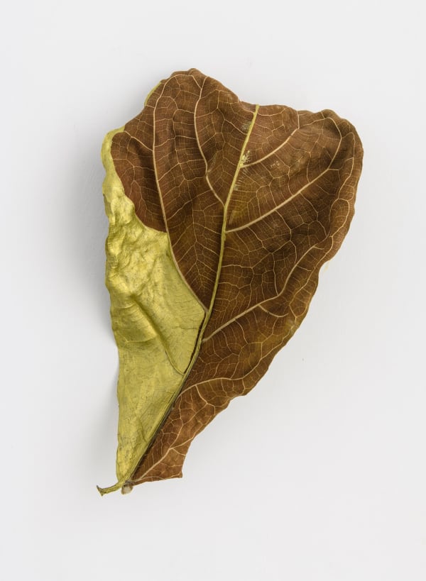 Giovanni Kronenberg Senza Titolo, 2022 dry leaf with golden leaf cm 23 x 14 ph. Giorgio Benni