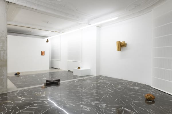Kronenberg - Nonas with a text by Riccardo Venturi in collaboration with P420 Bologna installation view at z2o project, ph. Giorgio Benni