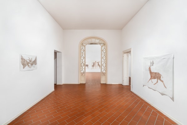 06 Installationviews Martaroberti Villapacchiani Sel