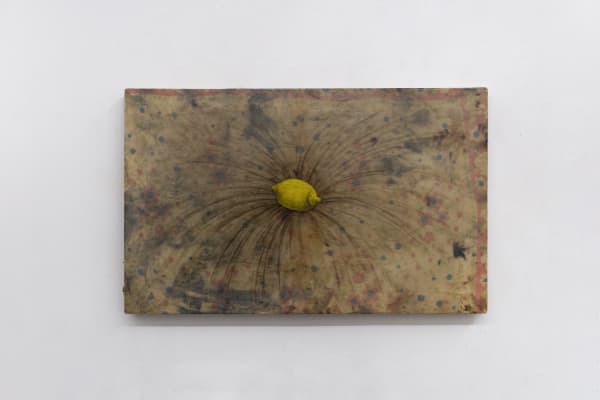 Cuscino con limone, 2023, glaze and oil on canvas, cm 39 x 62