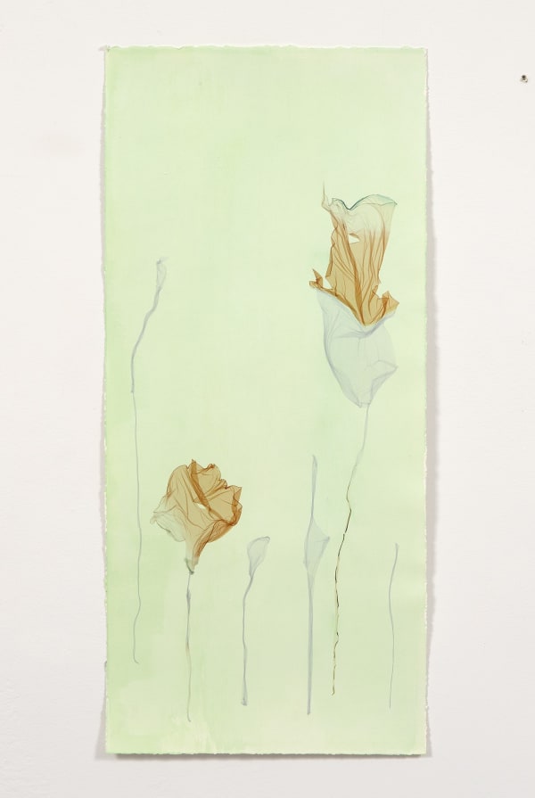Beatrice Pediconi, Giardino d’inverno, 2024, polaroid emulsion on watercolor paper, cm 73 x 38. Ph. Dario Lasagni