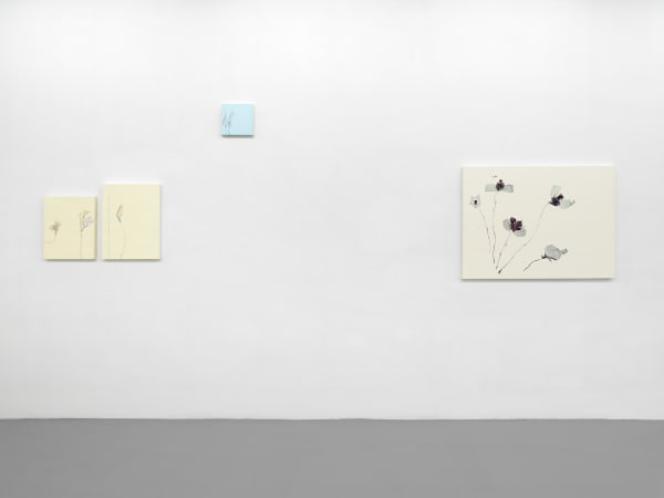 Installation View, Beatrice Pediconi | ... senza turbare una stella, curated by Antonello Tolve, 2024, z2o Sara Zanin | Ph. Dario Lasagni