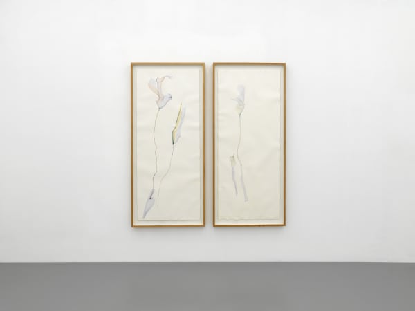 Installation View, Beatrice Pediconi | ... senza turbare una stella, curated by Antonello Tolve, 2024, z2o Sara Zanin | Ph. Dario Lasagni