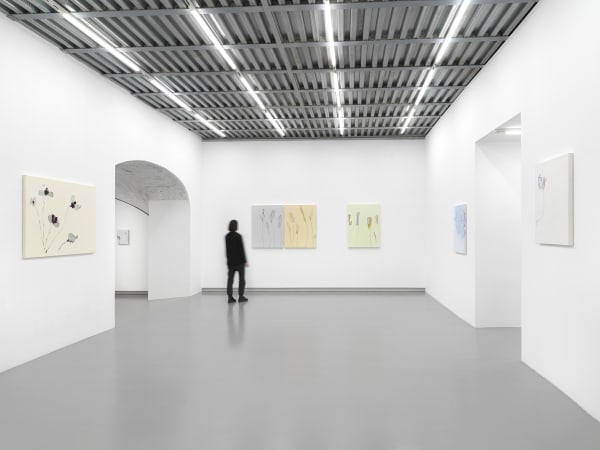 Installation View, Beatrice Pediconi | ... senza turbare una stella, curated by Antonello Tolve, 2024, z2o Sara Zanin | Ph. Dario Lasagni