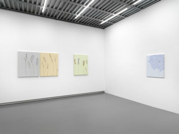 Installation View, Beatrice Pediconi | ... senza turbare una stella, curated by Antonello Tolve, 2024, z2o Sara Zanin | Ph. Dario Lasagni