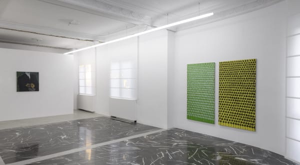 Cesare Tacchi. Una casa di foglie e fogli, curated by Daniela Bigi, installation views, ph. Giorgio Benni