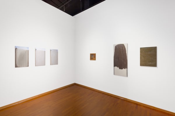 Installation View Terra e Vapori | GAM Torino | La Collezione ph. Cristina Leoncini