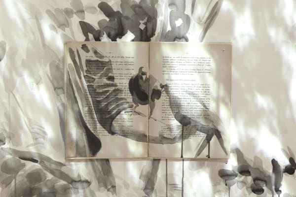 Ekaterina Panikanova, Attraversando il mio giardino, curated by Marina Dacci, z2o Sara Zanin Gallery Rome