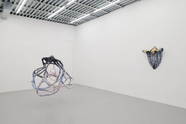 Kaarina Kaikkonen Unfolding Hope