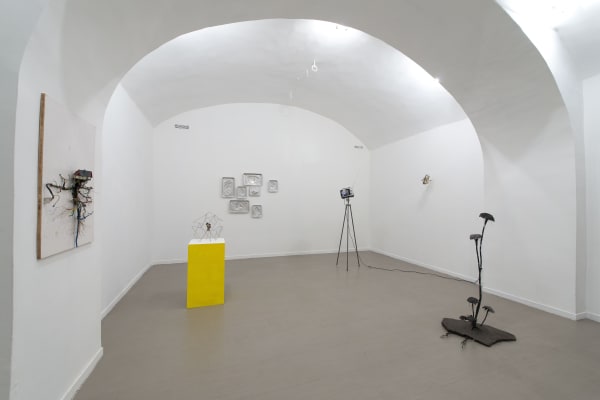 Hidden Beauty | curated by Marina Dacci and Krištof Kintera with Anna Hulačová, Krištof Kintera, Pavla Sceranková, Richard Wiesner