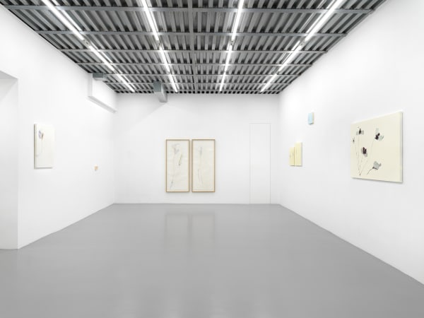 Beatrice Pediconi | ... senza turbare una stella curated by Antonello Tolve