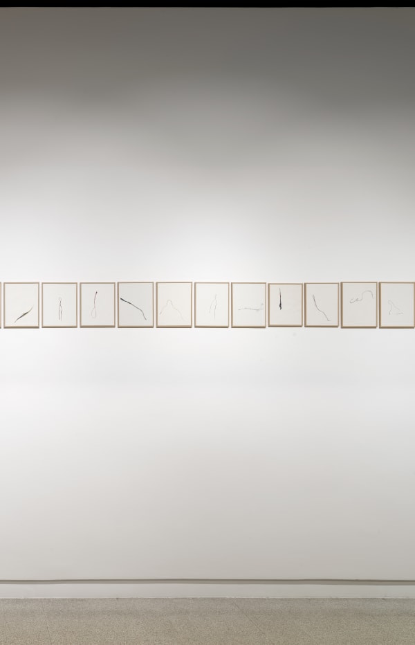 Installation View "Diario di un Tempo Sospeso" @Collezione Maramotti. Ph. Dario Lasagni