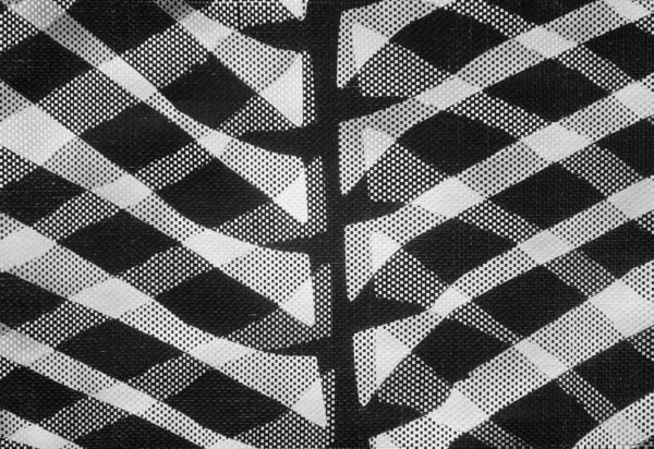 Michele Guido "Giardino in quattro atti_2011/2021" - Casa deli artisti, Milan