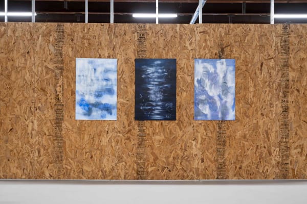 Falling Petals in Glittering Snow, Shahrzad Jahan