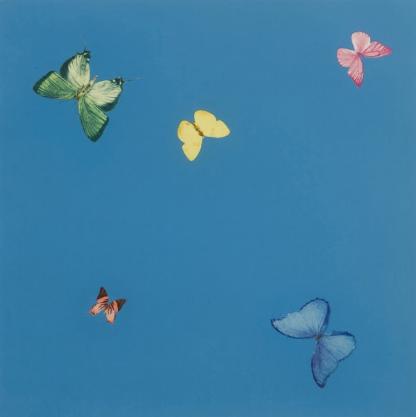 Damien Hirst