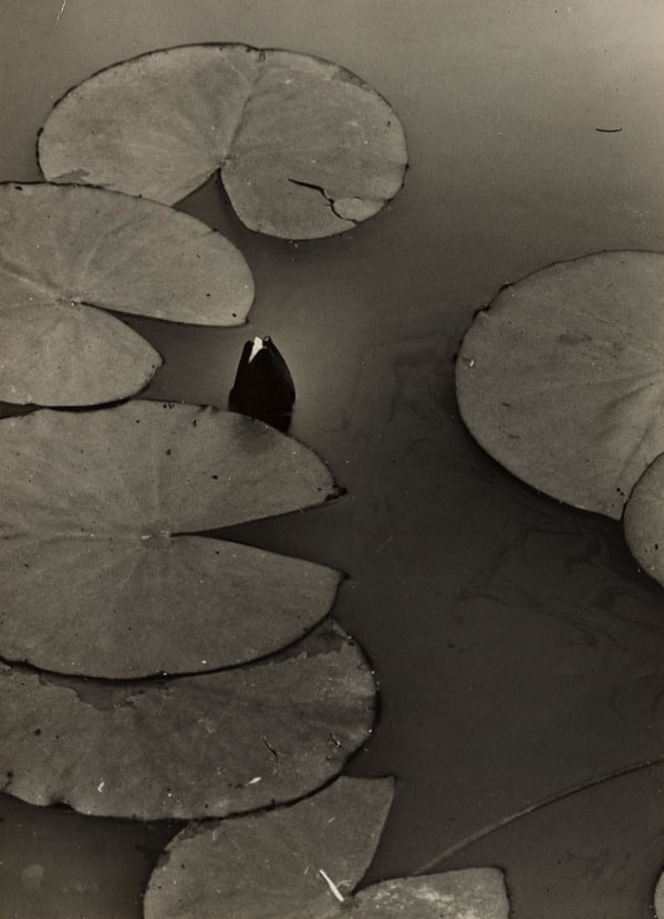 Modern Women The Art of Sonia Delaunay, Anni Albers, and Benita Koch-Otte