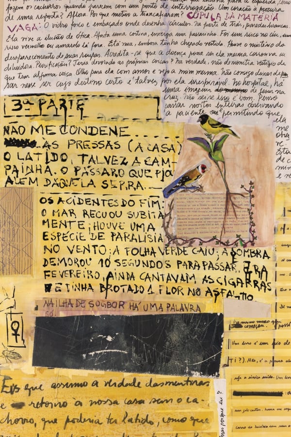 Cláudia Lyrio Ela não sabe como era o Fim do Mundo em Outra Época Série Manuscritos de Si, 002 (2021) acrílica, caneta acrílica, caneta esferográfica e colagem sobre tela 200 x 100 cm
