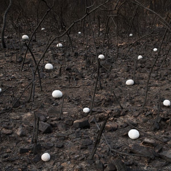 Rodrigo Braga - Presságio (Fulgor #04), 2025