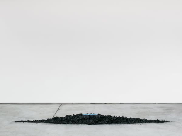 Felipe Seixas, Sem título, 2019