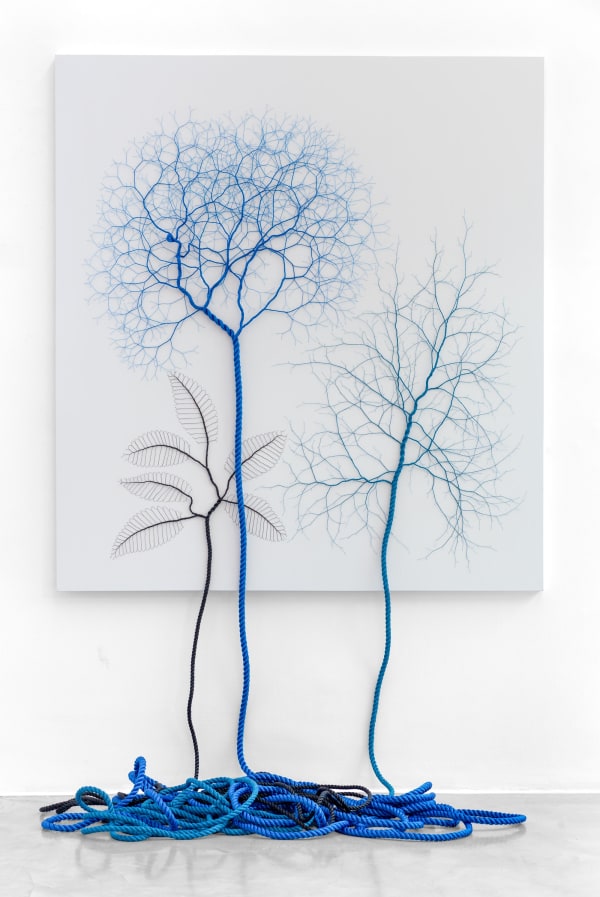 Janaina Mello Landini, Ciclotrama 333 (botânica), 2023