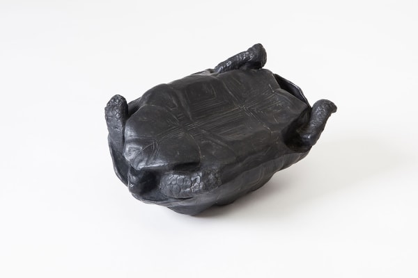 João Castilho, Irreversível [Irreversible], 2015
