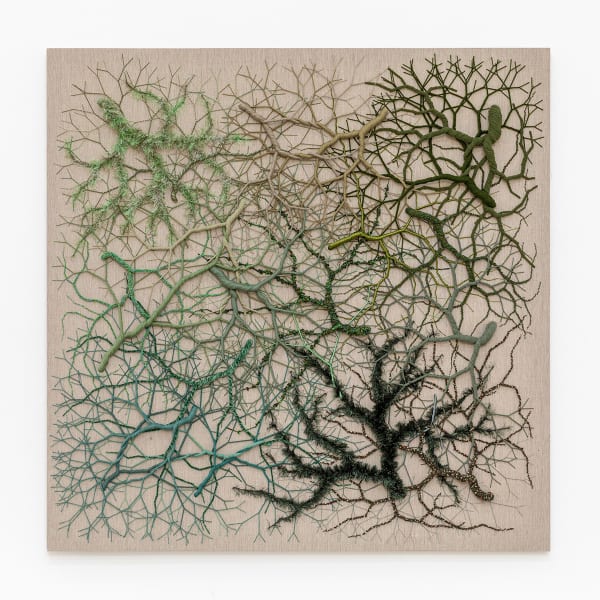 Janaina Mello Landini, Ciclotrama 396 (fungi), 2025