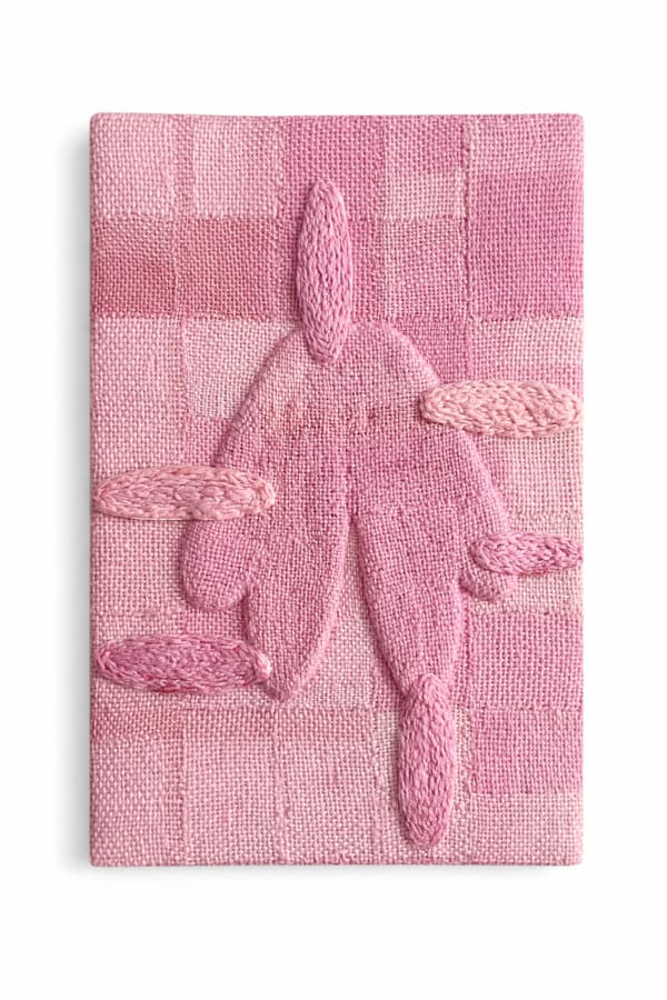 Célio Braga, Teta, 2024/2025