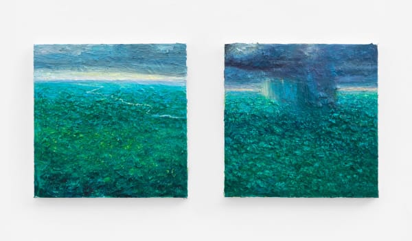 Miguel Penha Chiquitano, Horizonte e chuva, 2025