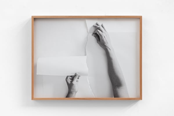 Celina Portella, Chegamos até aqui, 2025