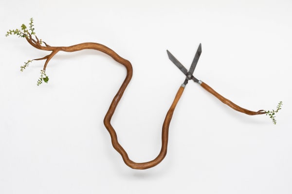 Camille Kachani, Sem título, 2013